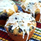 Jumbo Blueberry Oatmeal Flax Muffins